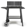 Barbecue a charbon - LIVOO - DOC328 - Inox - Surface de cuisson 48,5 x