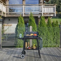 Barbecue a charbon - LIVOO - DOC328 - Inox - Surface de cuisson 48,5 x