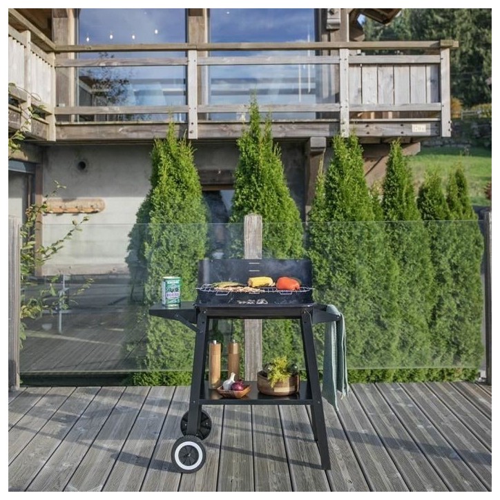 Barbecue a charbon - LIVOO - DOC328 - Inox - Surface de cuisson 48,5 x 28,8 cm - Hauteur réglable 70-84 cm Barbecue a charbon - LIVOO - DOC328 - Inox - Surface de cuisson 48,5 x 28,8 cm - Hauteur réglable 70-84 cm