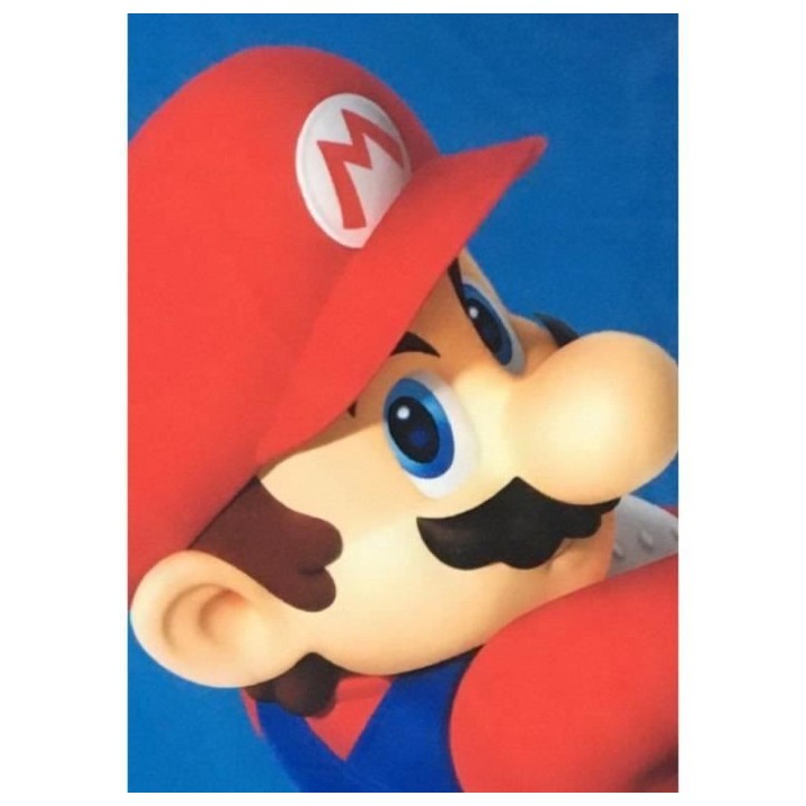 Couverture Sherpa - MARIO BROS - Mario & Luigi - 100 x 150 cm