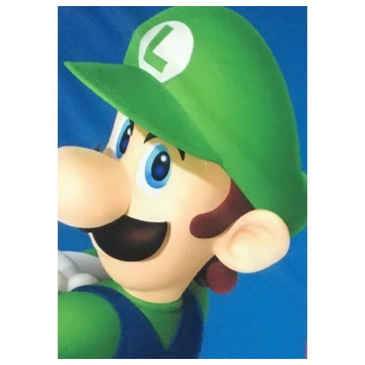 Couverture Sherpa - MARIO BROS - Mario & Luigi - 100 x 150 cm