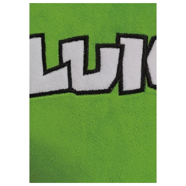 Coussin 3D - MARIO BROS - Visage Luigi - Microfibre - 40 cm