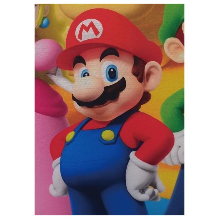 Coussin double face - Carré - MARIO BROS - Mario et ses amis - Microfibre - 40 x 40 cm Coussin double face - Carré - MARIO BROS - Mario et ses amis - Microfibre - 40 x 40 cm