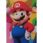 Coussin double face - Carré - MARIO BROS - Mario et ses amis - Microfibre - 40 x 40 cm