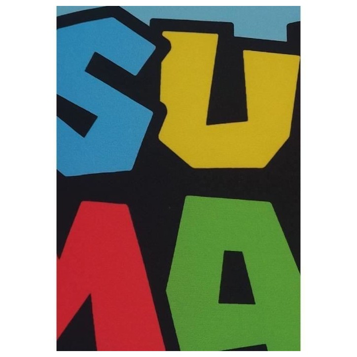 Coussin double face - Carré - MARIO BROS - Mario et ses amis - Microfibre - 40 x 40 cm Coussin double face - Carré - MARIO BROS - Mario et ses amis - Microfibre - 40 x 40 cm
