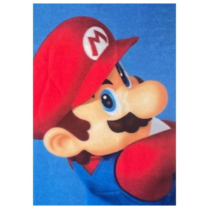 Plaid - MARIO BROS - Mario et Luigi - 100 x 140 cm Plaid - MARIO BROS - Mario et Luigi - 100 x 140 cm