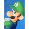 Plaid - MARIO BROS - Mario et Luigi - 100 x 140 cm Plaid - MARIO BROS - Mario et Luigi - 100 x 140 cm