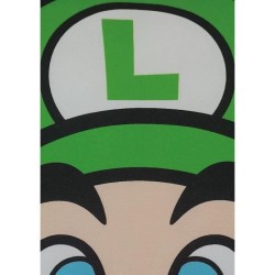 Coussin double face - Carré - MARIO BROS - Mario et Luigi - Microfibr