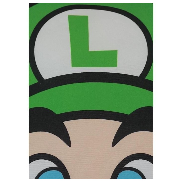 Coussin double face - Carré - MARIO BROS - Mario et Luigi - Microfibre - 40 x 40 cm Coussin double face - Carré - MARIO BROS - Mario et Luigi - Microfibre - 40 x 40 cm