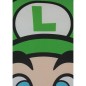 Coussin double face - Carré - MARIO BROS - Mario et Luigi - Microfibre - 40 x 40 cm