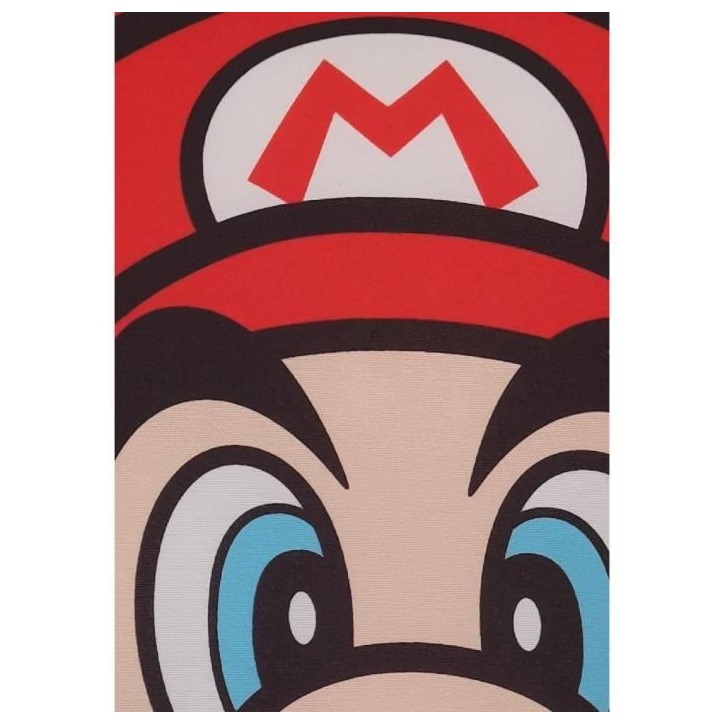 Coussin double face - Carré - MARIO BROS - Mario et Luigi - Microfibre - 40 x 40 cm Coussin double face - Carré - MARIO BROS - Mario et Luigi - Microfibre - 40 x 40 cm