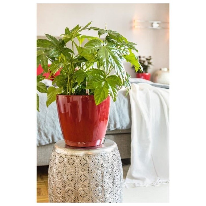 LECHUZA Pot de fleurs - Classico Premium LS 21 - Ø 22 x 20 cm - 3 L - Kit complet - Arrosage automatique - Rouge scarlet brilla LECHUZA Pot de fleurs - Classico Premium LS 21 - Ø 22 x 20 cm - 3 L - Kit complet - Arrosage automatique - Rouge scarlet brilla