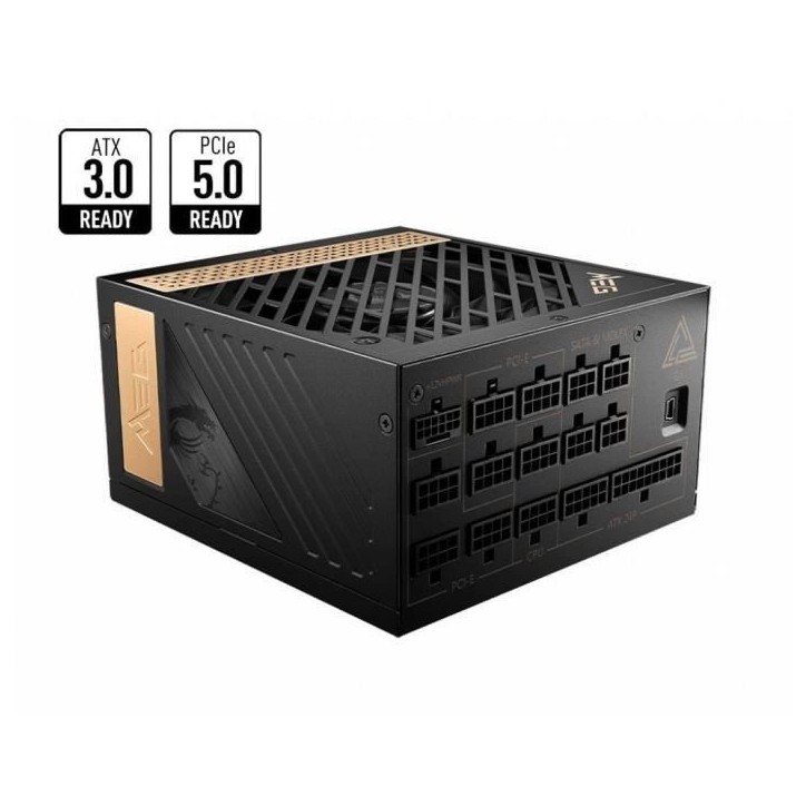 Alimentation PC - MSI - 306-7ZP4A11-CE0 - MEG Ai1300P PCIE5 - ATX 3.0 - 80Plus PLATINIUM