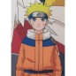 Coussin double face - Carré - NARUTO - Naruto et ses amis - Microfibre - 40 x 40 cm