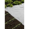 Voile de forçage - PP - 17 gr/m² - 2x5 m