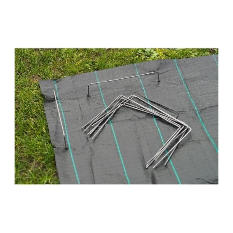 Nature Chevilles de fixation de bâche 20 pcs 25 x 20 cm Métal 409335