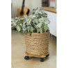 NATURE Tablette a roulettes pour plantes - Bambou composite - H8 x Ø3
