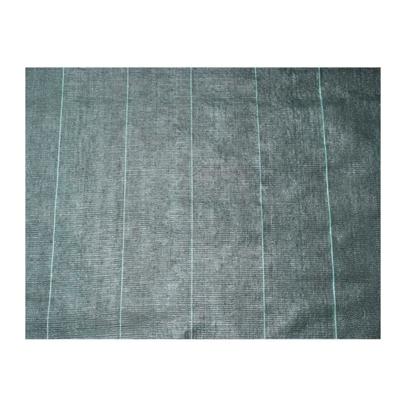 Nature Bâche de sol de contrôle des mauvaises herbes 2x5 m Noir