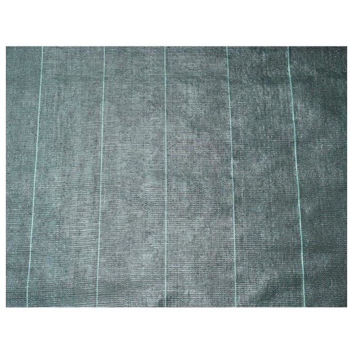 Nature Bâche de sol de contrôle des mauvaises herbes 2x5 m Noir
