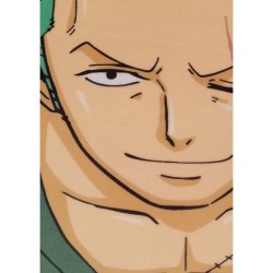 Coussin 3D - ONE PIECE - Roronoa Zoro - Microfibre - 40 cm