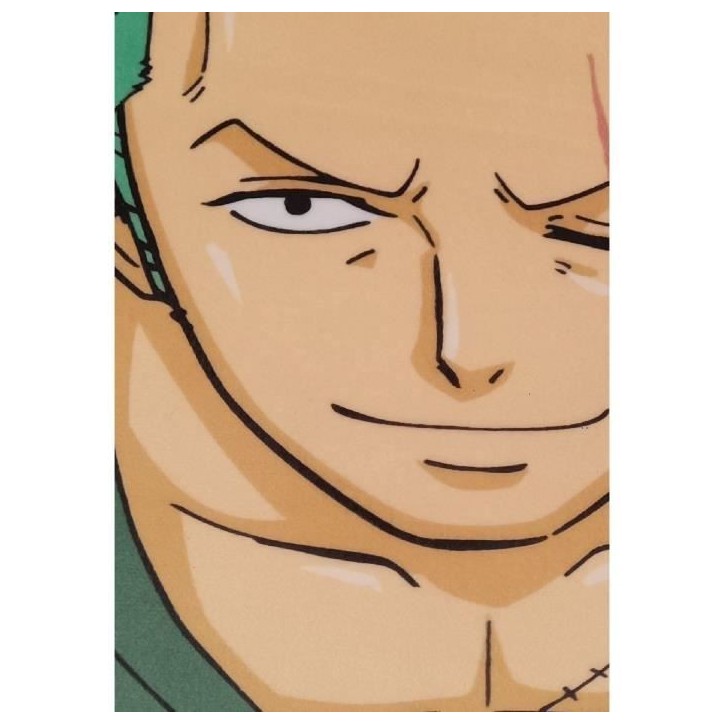 Coussin 3D - ONE PIECE - Roronoa Zoro - Microfibre - 40 cm Coussin 3D - ONE PIECE - Roronoa Zoro - Microfibre - 40 cm