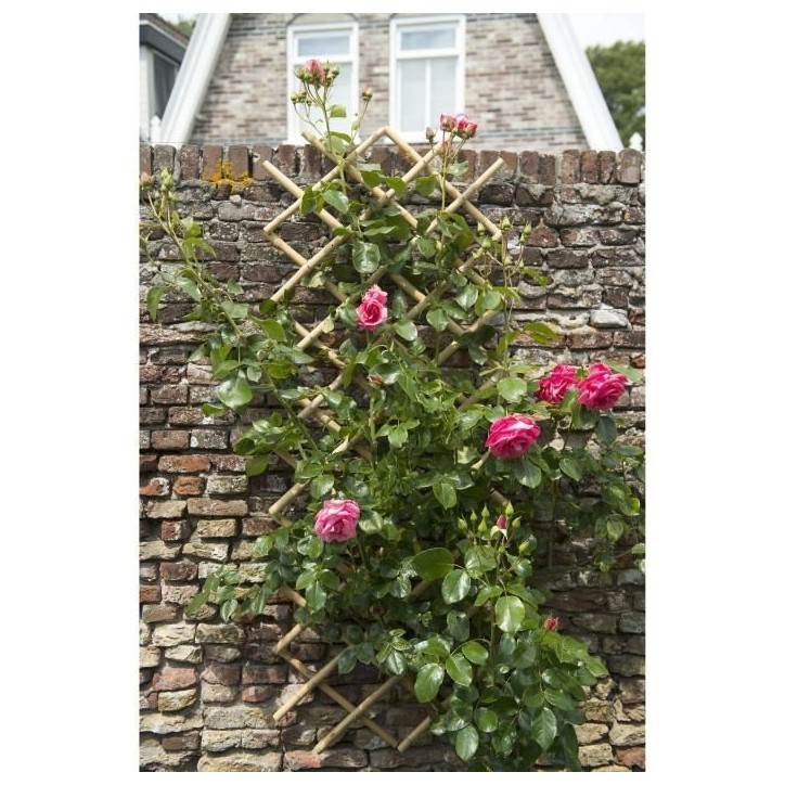 Treillis extensible - NATURE - En bambou - 45 x 180 cm Treillis extensible - NATURE - En bambou - 45 x 180 cm