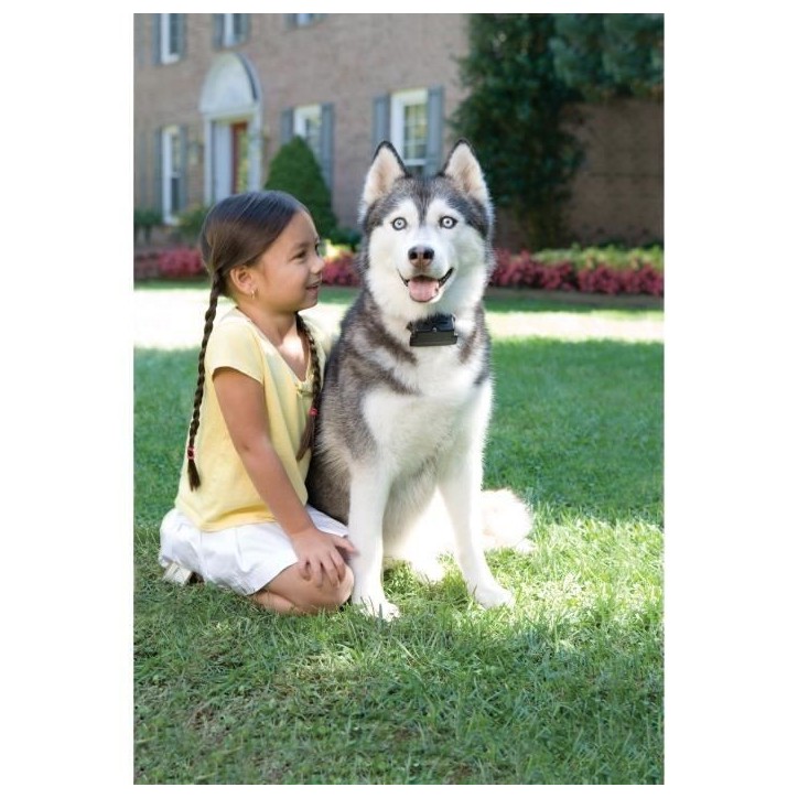 PETSAFE Collier supplémentaire Super Radio Fence - Pour clôture anti-fugue pour chien compatible avec tous les produits PETSAF PETSAFE Collier supplémentaire Super Radio Fence - Pour clôture anti-fugue pour chien compatible avec tous les produits PETSAF
