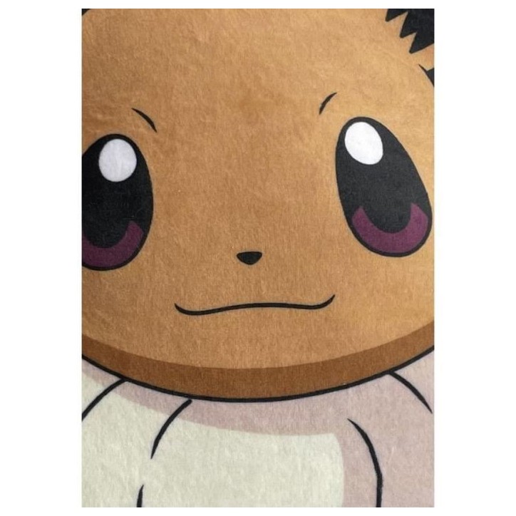 Coussin premium 3D - POKEMON - Evoli - Microfibre - 40 cm