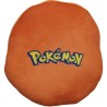 Coussin premium 3D - POKEMON - Visage Salameche - Microfibre - 40 cm Coussin premium 3D - POKEMON - Visage Salameche - Microfibre - 40 cm