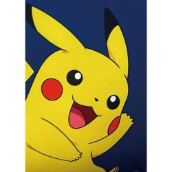 Coussin double face - Carré - POKEMON - Poké-Ball et Starter - Micro