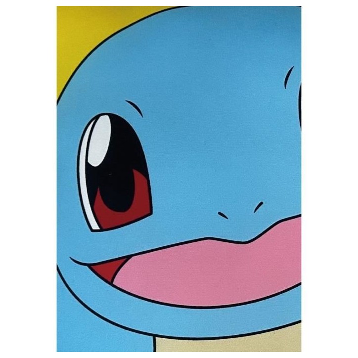 Coussin double face - Carré - POKEMON - Pikachu et Carapuce - Microfibre - 40 x 40 cm