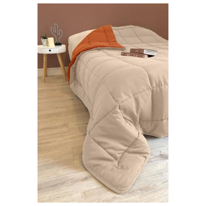POYET MOTTE Couette Microfibre 400g/m² CALGARY - 140 x 200 cm - Gris galet et Marron gimgembre