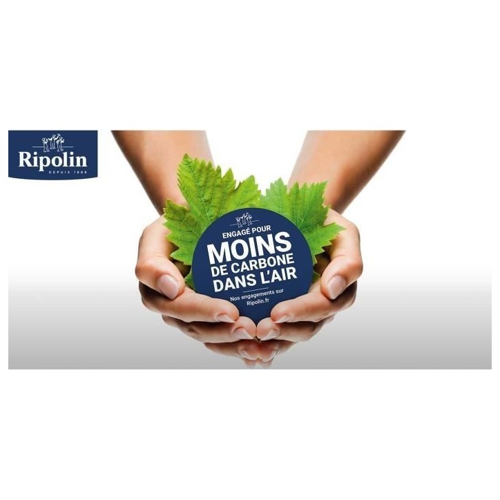 RIPOLIN SOUS-COUCHE ANTI-HUMIDITE 0,75L