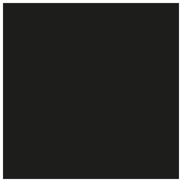 Peinture sol - RIPOLIN - Noir - Mat - 2,5L