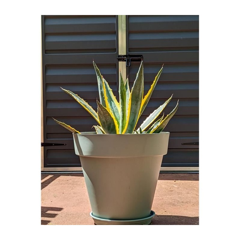 Pot de fleurs rond - RIVIERA - SOLEILLA - Plastique - D49 x H45 cm - V