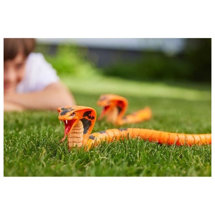 Serpent robotisé - ROBO ALIVE - Cobra - Déplacement sinueux - Langue mobile - Effets effrayants
