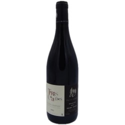 Domaine des Roches Neuves Cuvée Terres Chaudes 2022 Saumur Champigny