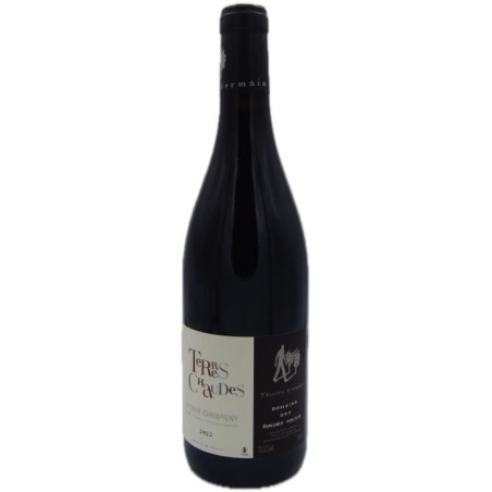 Domaine des Roches Neuves Cuvée Terres Chaudes 2022 Saumur Champigny