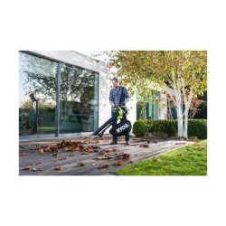 Souffleur aspiro-broyeur 2-en-1 - RYOBI - Brushless - 201 km/h - 6 m³