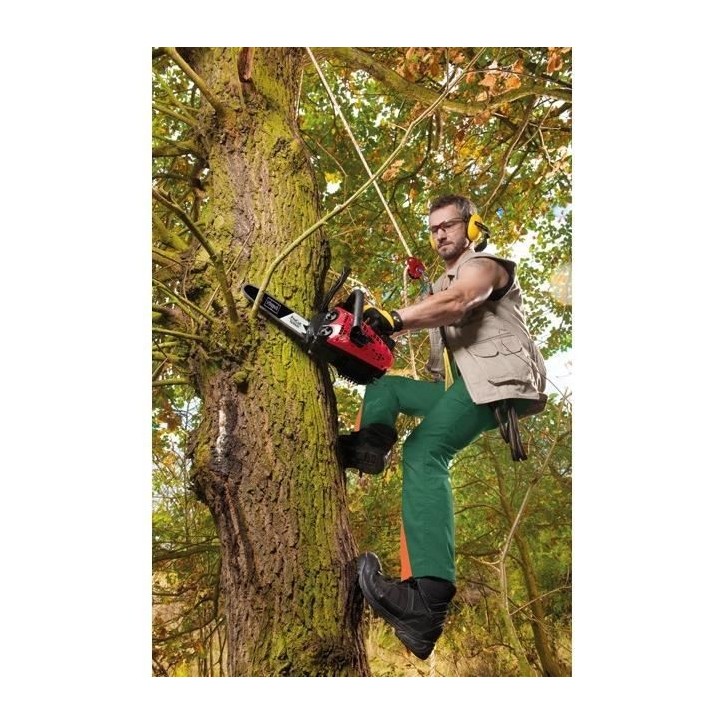 Elagueuse thermique CSP2540 - 25 cm - 25 CC - SCHEPPACH