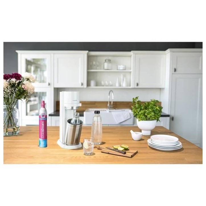 Bouteille en verre SODASTREAM - Capacité 1L - Compatible machine DUO