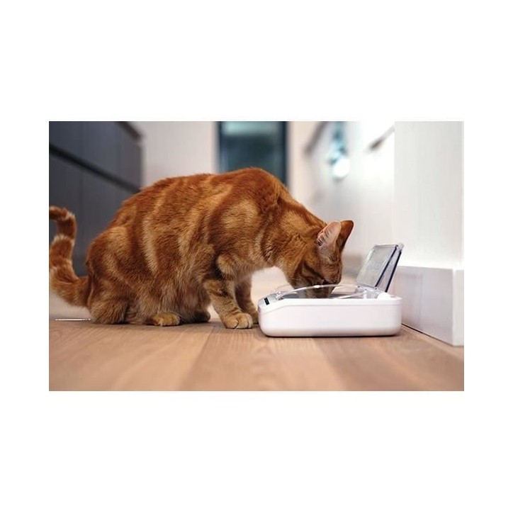 SUREFEED Distributeur de nourriture automatique pour chat anti-odeur - Blanc (Livré avec un bol simple)