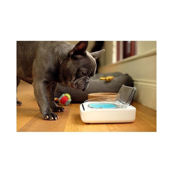 SUREFEED Distributeur de nourriture automatique pour chat anti-odeur - Blanc (Livré avec un bol simple)