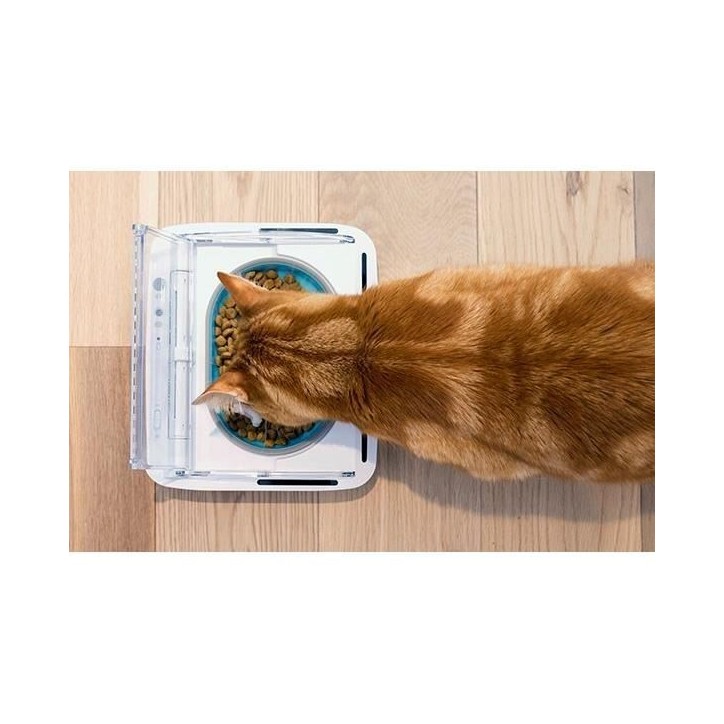 SUREFEED Distributeur de nourriture automatique pour chat anti-odeur - Blanc (Livré avec un bol simple)