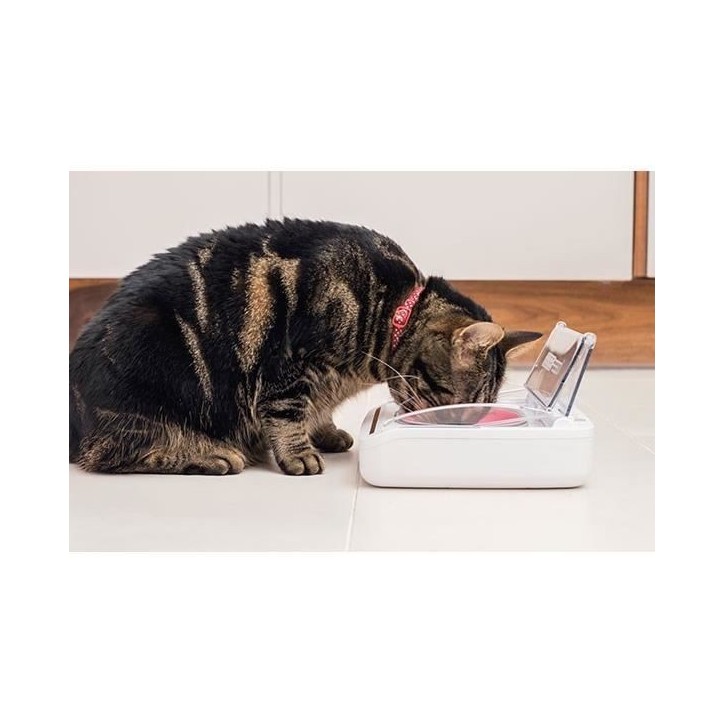 SUREFEED Distributeur de nourriture automatique pour chat anti-odeur - Blanc (Livré avec un bol simple)