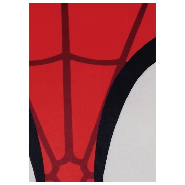 Coussin 3D - SPIDEY - Microfibre - 40 cm Coussin 3D - SPIDEY - Microfibre - 40 cm