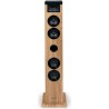 Tour haut-parleur - THOMSON - Noir/Bois - Bluetooth/CD/USB/SD, 60W, Ra