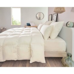 Oreiller - TOISON D'OR - POLLUX - Confort ferme - 65 x 65 cm - Blanc