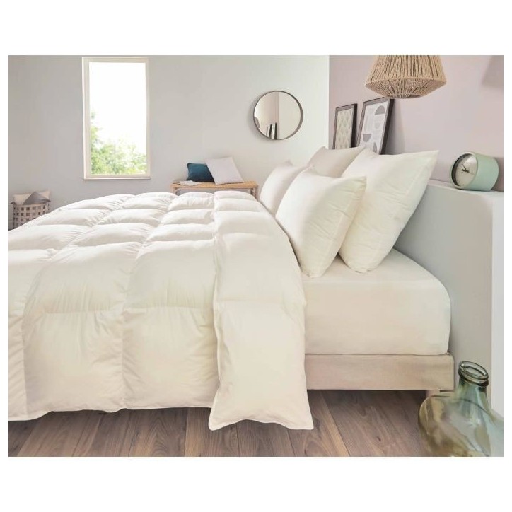Oreiller - TOISON D'OR - POLLUX - Confort ferme - 65 x 65 cm - Blanc