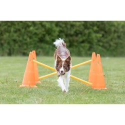 TRIXIE Lot de 3 Activités d'obstacle - Ø 23 × 30 cm - 78 cm - Orang
